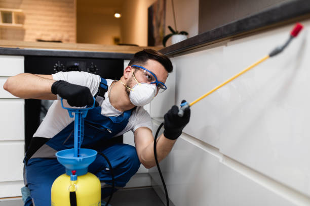 Best Termite Control Services  in Crownsville, MD