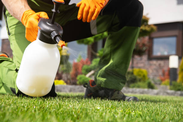 Best Affordable Pest Control Services  in Crownsville, MD