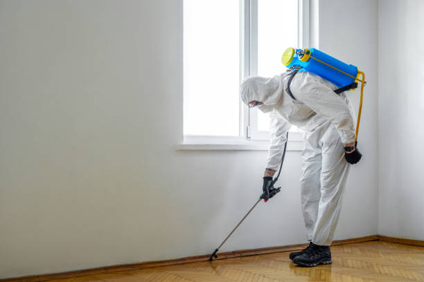 Wasp Removal Services in Crownsville, MD