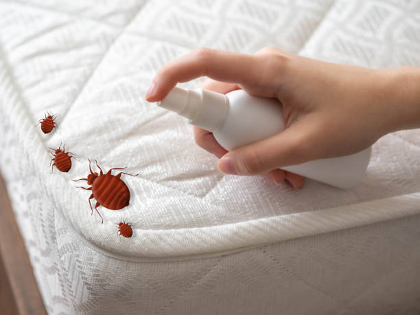 Best Pest Prevention Services  in Crownsville, MD