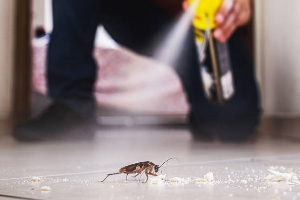 Best Cockroach Control Services  in Crownsville, MD