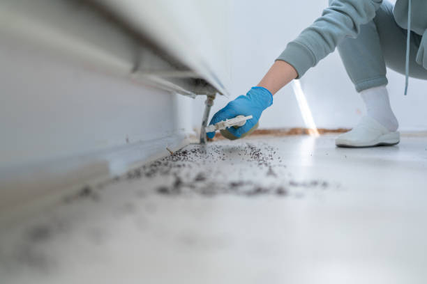 Best Insect Control  in Crownsville, MD