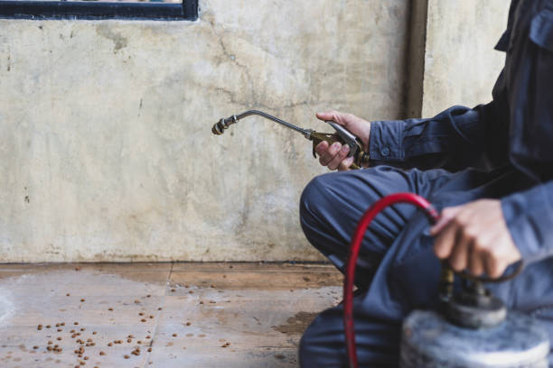 Best Best Pest Control Companies  in Crownsville, MD