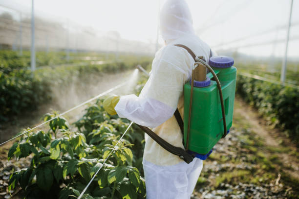 Best Wildlife Control Services  in Crownsville, MD